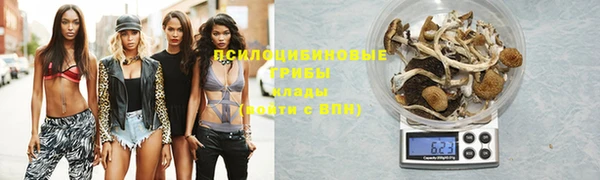 шишки Снежинск