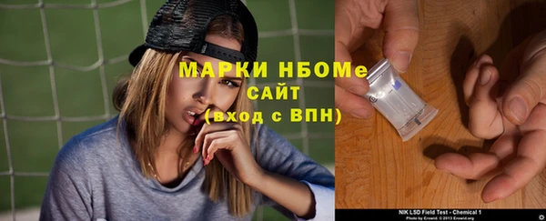 СК Снежногорск