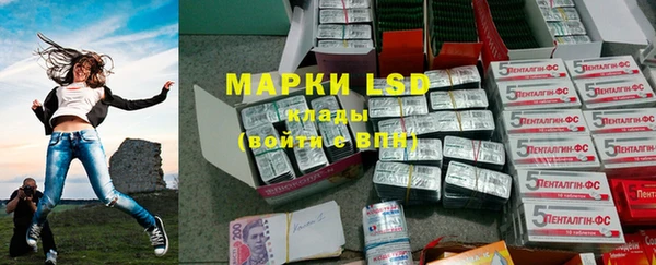 СК Снежногорск