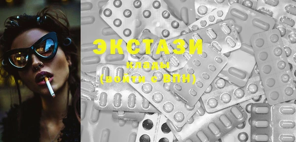 СК Снежногорск