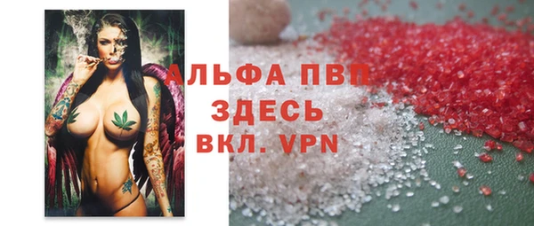 СК Снежногорск